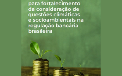 SIS lança estudo com recomendações para integração mais robusta de fatores climáticos e socioambientais na regulação bancária no Brasil
