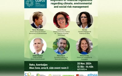 Organizações da sociedade civil e representantes do Executivo federal debateram na COP29 proposta para alinhar e fortalecer aspectos climáticos e socioambientais nas regulações financeiras